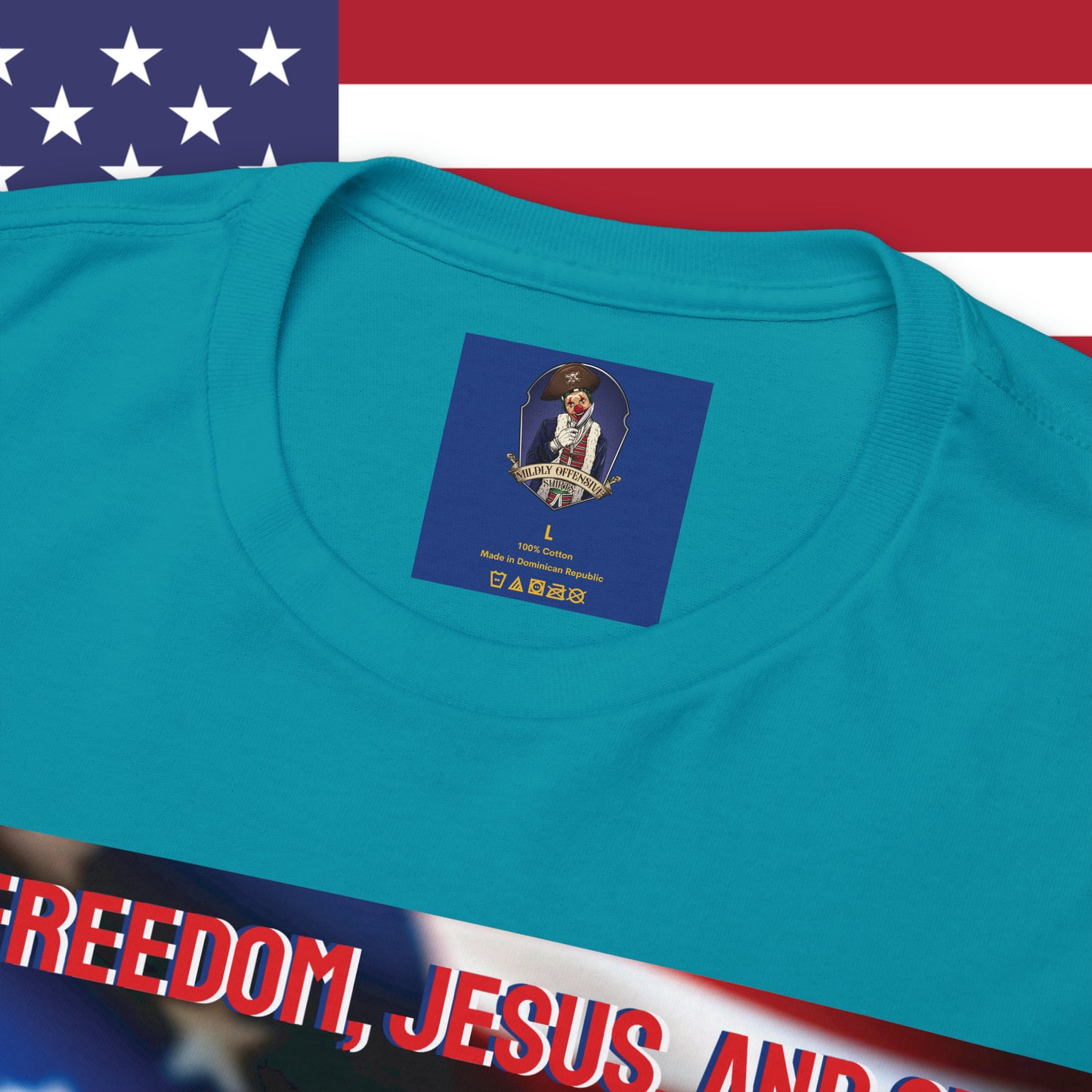 FREEDOM JESUS GUNS