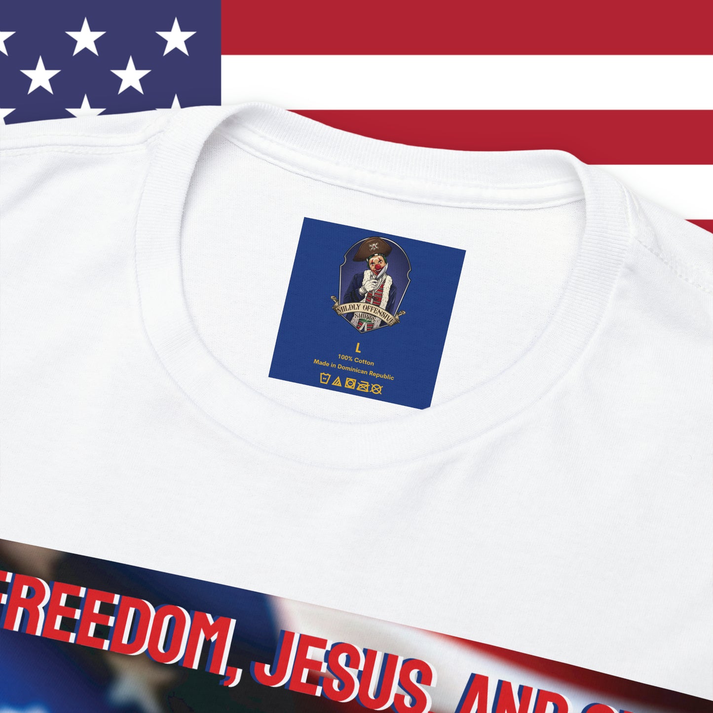 FREEDOM JESUS GUNS