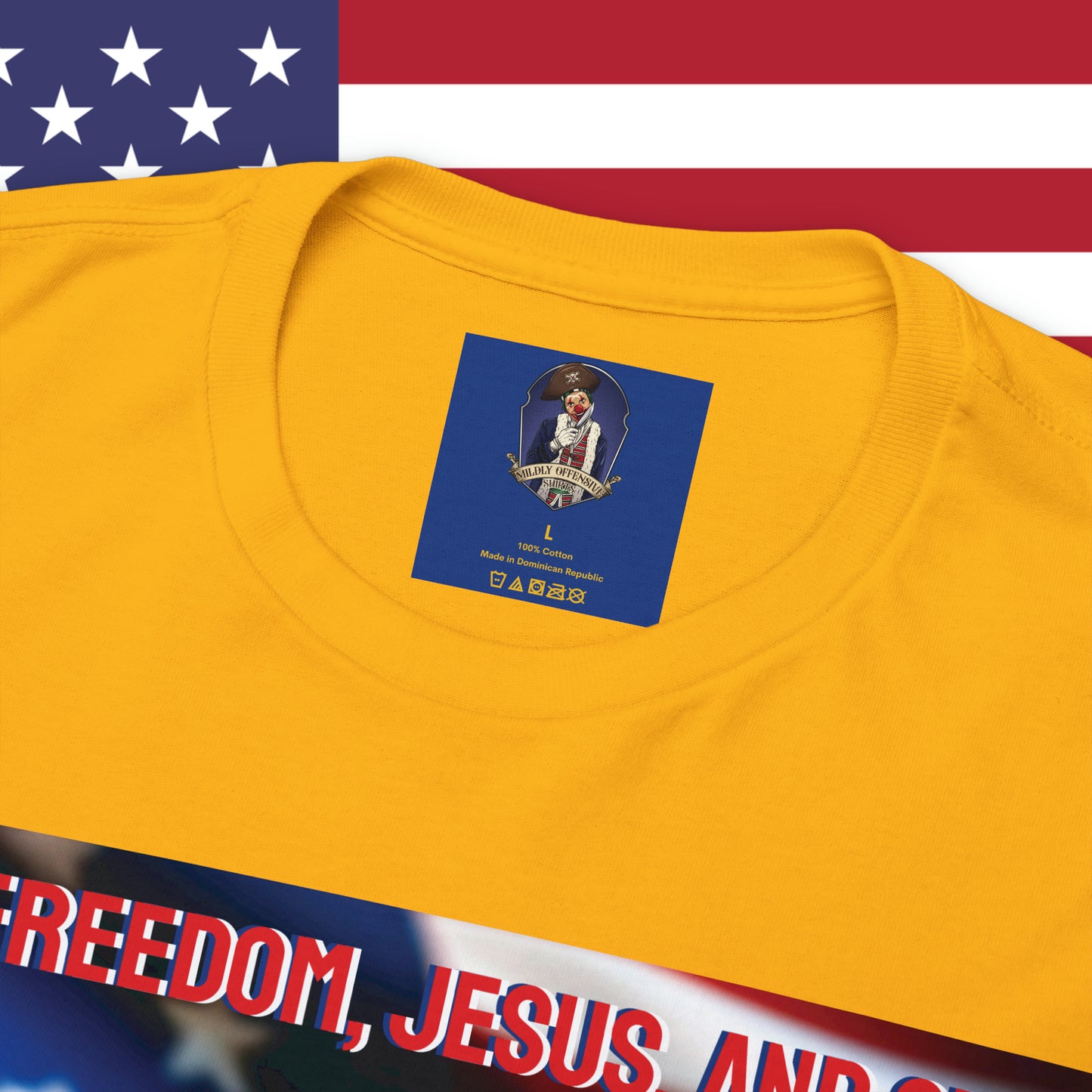 FREEDOM JESUS GUNS