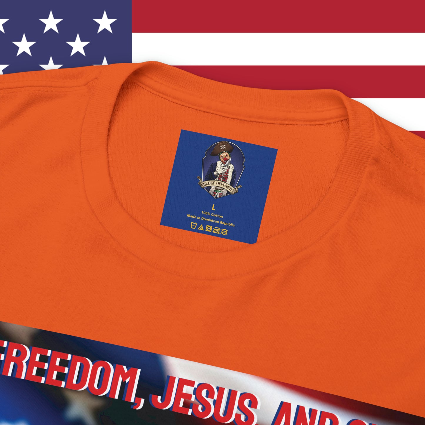 FREEDOM JESUS GUNS