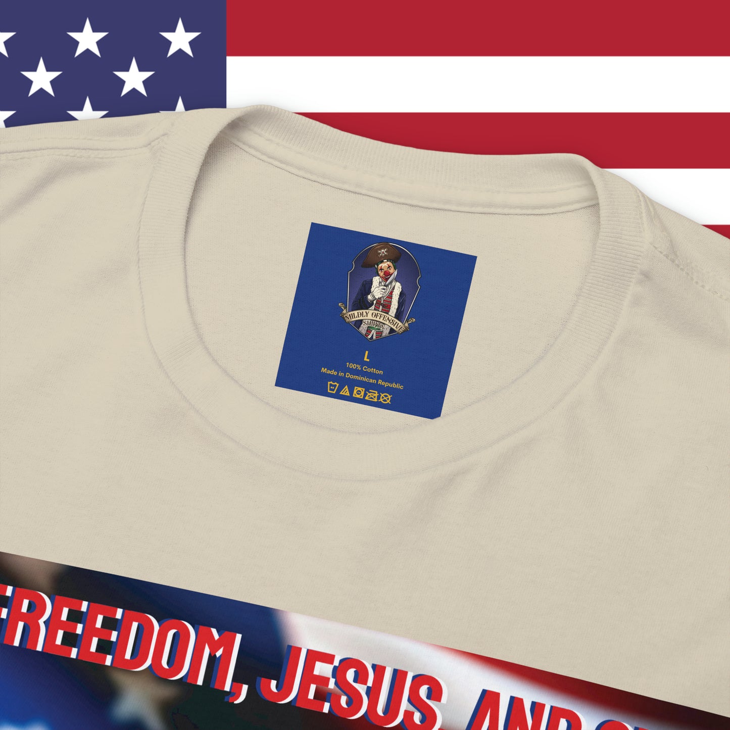 FREEDOM JESUS GUNS