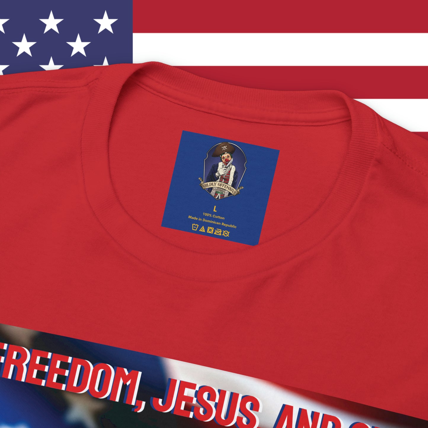 FREEDOM JESUS GUNS