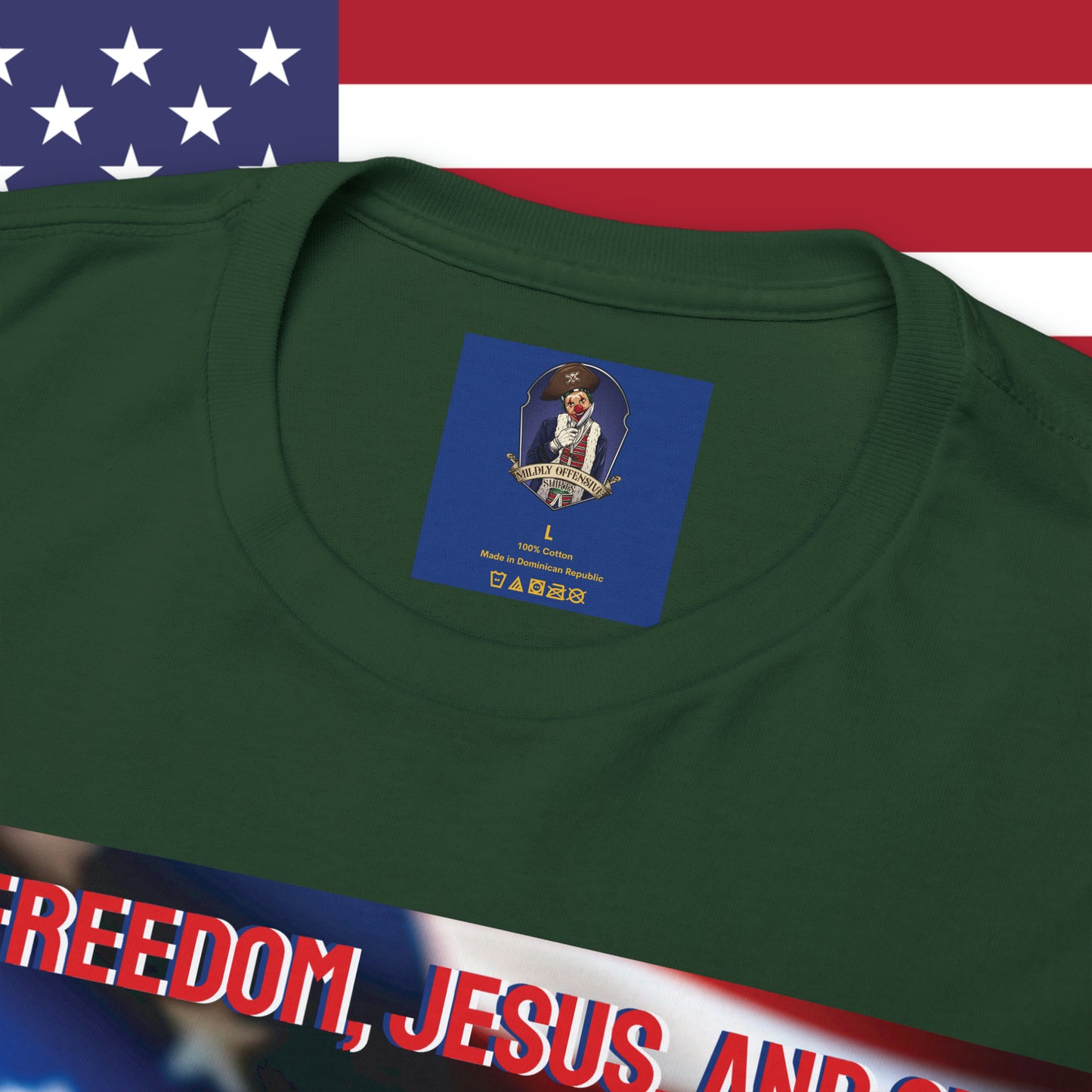 FREEDOM JESUS GUNS